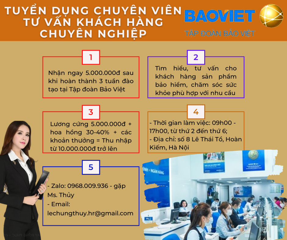 lĩnh vực hoạt động